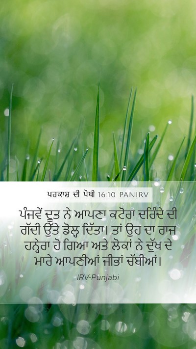ਪਰਕਾਸ਼ ਦੀ ਪੋਥੀ 16:10 PANIRV Bible Verse Image