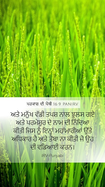ਪਰਕਾਸ਼ ਦੀ ਪੋਥੀ 16:9 PANIRV Bible Verse Image