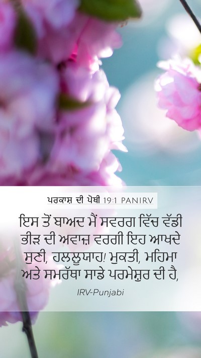 ਪਰਕਾਸ਼ ਦੀ ਪੋਥੀ 19:1 PANIRV Bible Verse Image