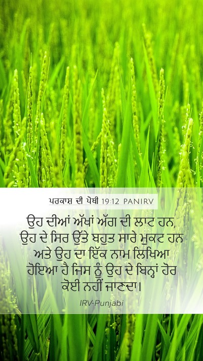 ਪਰਕਾਸ਼ ਦੀ ਪੋਥੀ 19:12 PANIRV Bible Verse Image