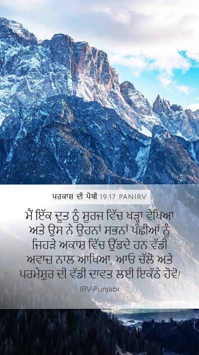 ਪਰਕਾਸ਼ ਦੀ ਪੋਥੀ 19:17 PANIRV Bible Verse Image