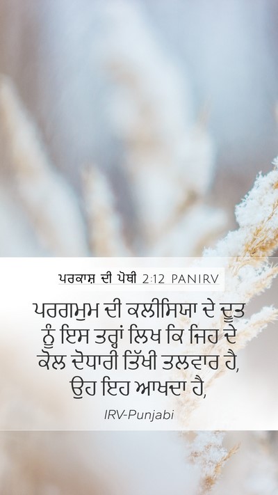 ਪਰਕਾਸ਼ ਦੀ ਪੋਥੀ 2:12 PANIRV Bible Verse Image