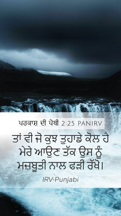 ਪਰਕਾਸ਼ ਦੀ ਪੋਥੀ 2:25 PANIRV Bible Verse Image