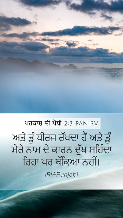 ਪਰਕਾਸ਼ ਦੀ ਪੋਥੀ 2:3 PANIRV Bible Verse Image