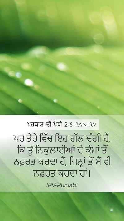 ਪਰਕਾਸ਼ ਦੀ ਪੋਥੀ 2:6 PANIRV Bible Verse Image