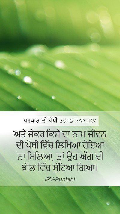 ਪਰਕਾਸ਼ ਦੀ ਪੋਥੀ 20:15 PANIRV Bible Verse Image
