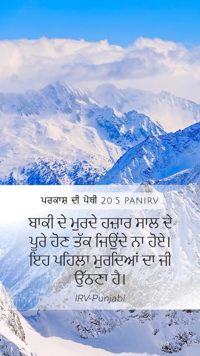 ਪਰਕਾਸ਼ ਦੀ ਪੋਥੀ 20:5 PANIRV Bible Verse Image