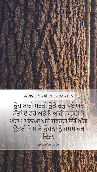ਪਰਕਾਸ਼ ਦੀ ਪੋਥੀ 20:9 PANIRV Bible Verse Image