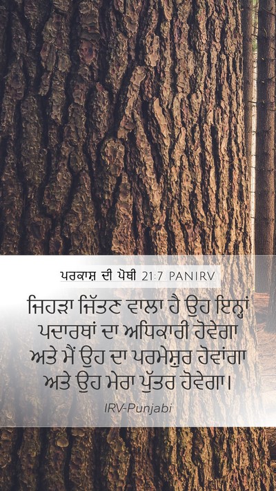 ਪਰਕਾਸ਼ ਦੀ ਪੋਥੀ 21:7 PANIRV Bible Verse Image