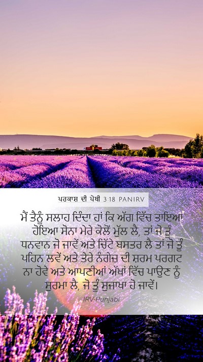 ਪਰਕਾਸ਼ ਦੀ ਪੋਥੀ 3:18 PANIRV Bible Verse Image