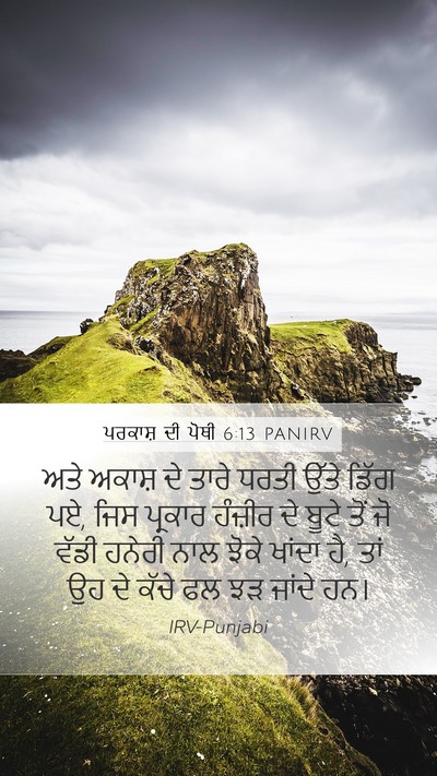 ਪਰਕਾਸ਼ ਦੀ ਪੋਥੀ 6:13 PANIRV Bible Verse Image