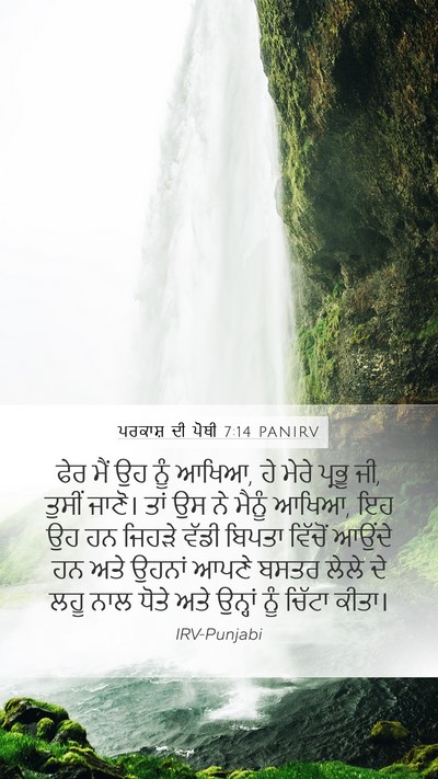 ਪਰਕਾਸ਼ ਦੀ ਪੋਥੀ 7:14 PANIRV Bible Verse Image
