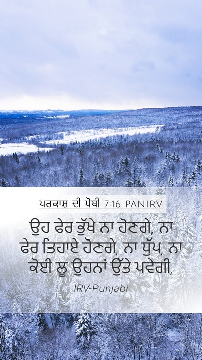 ਪਰਕਾਸ਼ ਦੀ ਪੋਥੀ 7:16 PANIRV Bible Verse Image