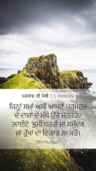 ਪਰਕਾਸ਼ ਦੀ ਪੋਥੀ 7:3 PANIRV Bible Verse Image