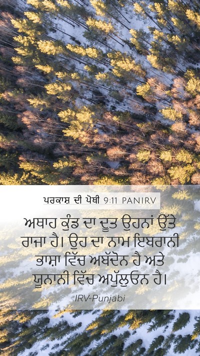 ਪਰਕਾਸ਼ ਦੀ ਪੋਥੀ 9:11 PANIRV Bible Verse Image