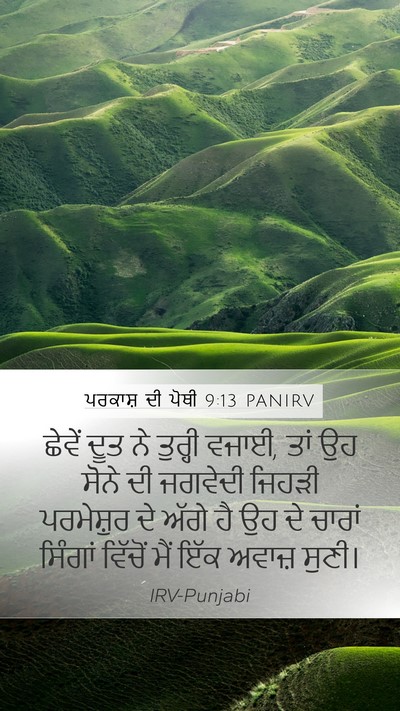 ਪਰਕਾਸ਼ ਦੀ ਪੋਥੀ 9:13 PANIRV Bible Verse Image