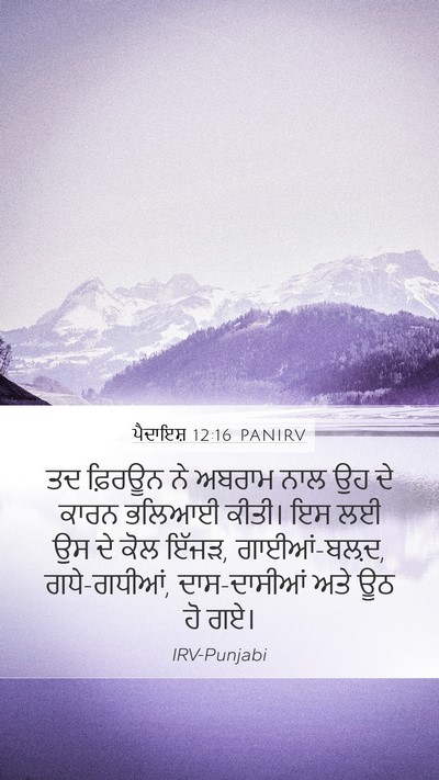ਪੈਦਾਇਸ਼ 12:16 PANIRV Bible Verse Image