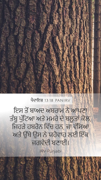 ਪੈਦਾਇਸ਼ 13:18 PANIRV Bible Verse Image
