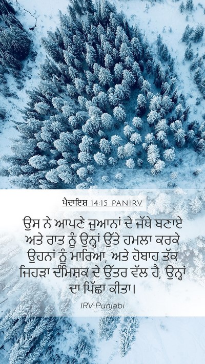 ਪੈਦਾਇਸ਼ 14:15 PANIRV Bible Verse Image