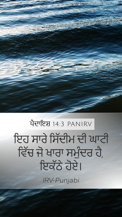 ਪੈਦਾਇਸ਼ 14:3 PANIRV Bible Verse Image