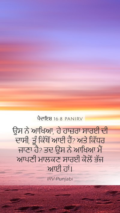 ਪੈਦਾਇਸ਼ 16:8 PANIRV Bible Verse Image