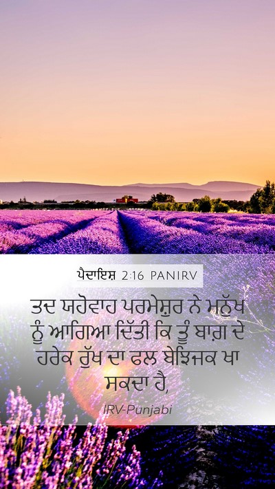 ਪੈਦਾਇਸ਼ 2:16 PANIRV Bible Verse Image