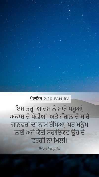 ਪੈਦਾਇਸ਼ 2:20 PANIRV Bible Verse Image