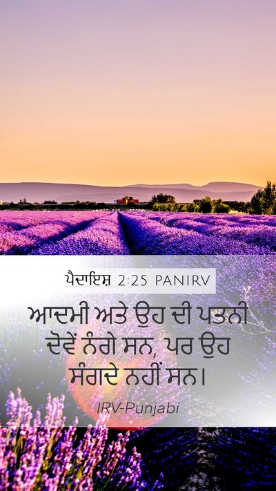 ਪੈਦਾਇਸ਼ 2:25 PANIRV Bible Verse Image