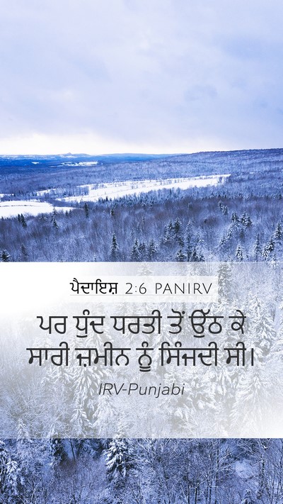 ਪੈਦਾਇਸ਼ 2:6 PANIRV Mobile Phone Wallpaper - ਪਰ ਧੁੰਦ ਧਰਤੀ ਤੋਂ - Mobile Bible Verse Wallpaper