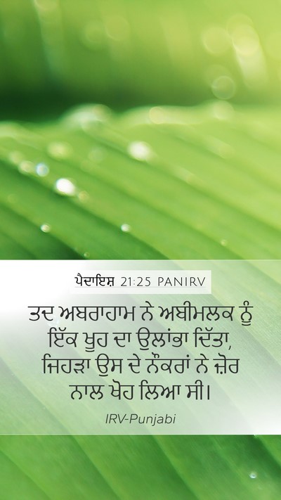 ਪੈਦਾਇਸ਼ 21:25 PANIRV Bible Verse Image