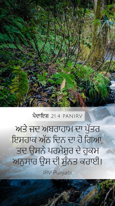 ਪੈਦਾਇਸ਼ 21:4 PANIRV Bible Verse Image