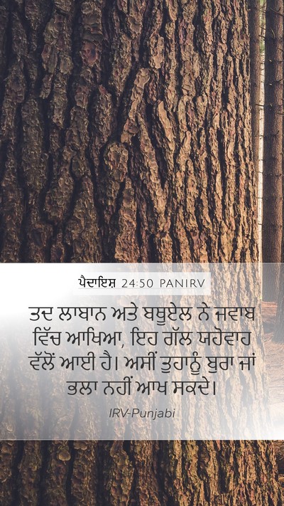ਪੈਦਾਇਸ਼ 24:50 PANIRV Bible Verse Image