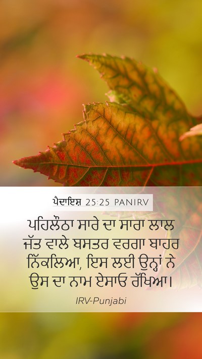 ਪੈਦਾਇਸ਼ 25:25 PANIRV Bible Verse Image