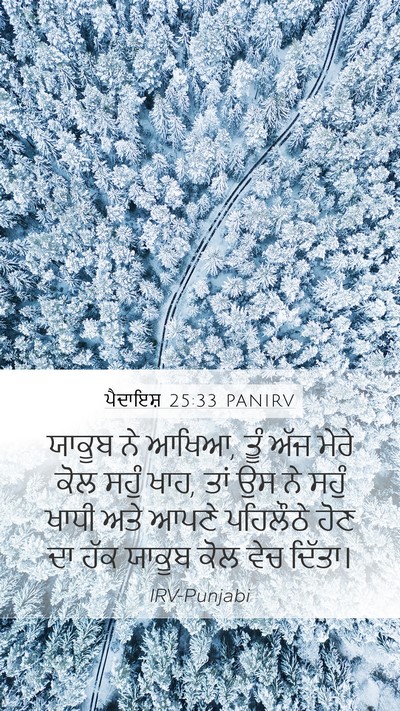 ਪੈਦਾਇਸ਼ 25:33 PANIRV Bible Verse Image