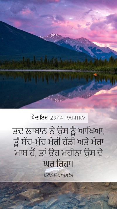 ਪੈਦਾਇਸ਼ 29:14 PANIRV Bible Verse Image