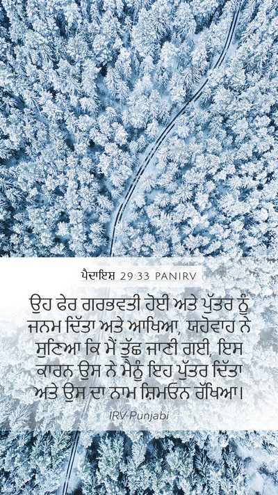 ਪੈਦਾਇਸ਼ 29:33 PANIRV Bible Verse Image