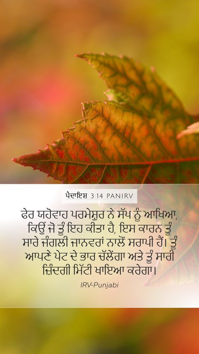 ਪੈਦਾਇਸ਼ 3:14 PANIRV Bible Verse Image