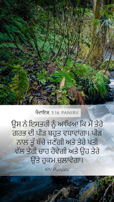 ਪੈਦਾਇਸ਼ 3:16 PANIRV Mobile Phone Wallpaper - ਉਸ ਨੇ ਇਸਤਰੀ ਨੂੰ - Mobile Bible Verse Wallpaper