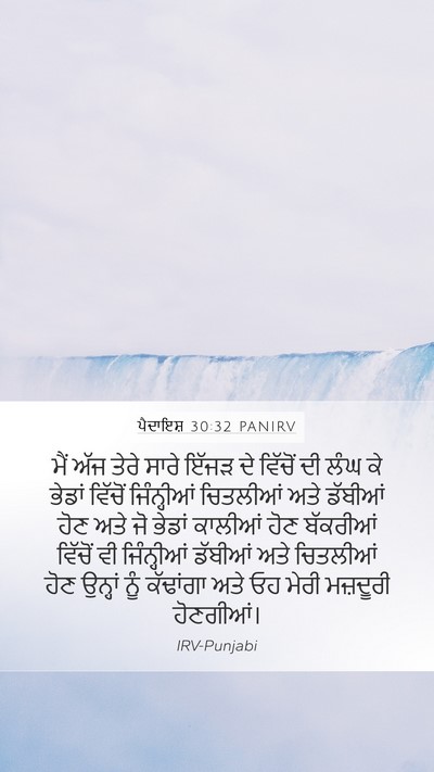 ਪੈਦਾਇਸ਼ 30:32 PANIRV Mobile Phone Wallpaper - ਮੈਂ ਅੱਜ ਤੇਰੇ ਸਾਰੇ - Mobile Bible Verse Wallpaper