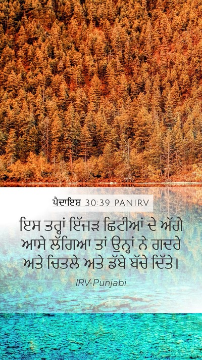 ਪੈਦਾਇਸ਼ 30:39 PANIRV Mobile Phone Wallpaper - ਇਸ ਤਰ੍ਹਾਂ ਇੱਜੜ - Mobile Bible Verse Wallpaper