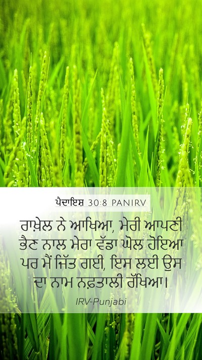 ਪੈਦਾਇਸ਼ 30:8 PANIRV Bible Verse Image