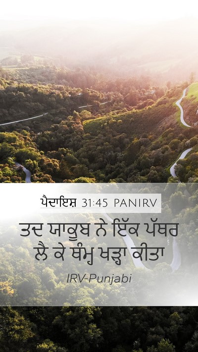 ਪੈਦਾਇਸ਼ 31:45 PANIRV Bible Verse Image