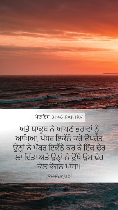 ਪੈਦਾਇਸ਼ 31:46 PANIRV Bible Verse Image
