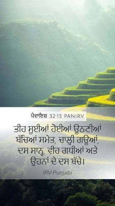 ਪੈਦਾਇਸ਼ 32:15 PANIRV Mobile Phone Wallpaper - ਤੀਹ ਸੂਈਆਂ ਹੋਈਆਂ - Mobile Bible Verse Wallpaper