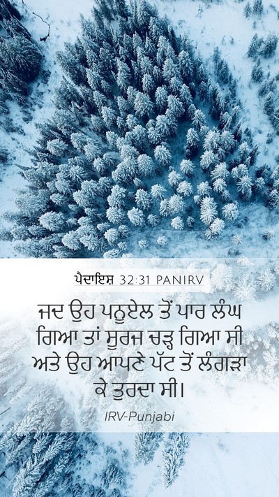 ਪੈਦਾਇਸ਼ 32:31 PANIRV Bible Verse Image