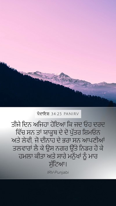 ਪੈਦਾਇਸ਼ 34:25 PANIRV Bible Verse Image