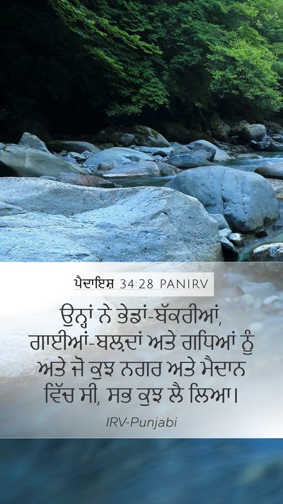 ਪੈਦਾਇਸ਼ 34:28 PANIRV Mobile Phone Wallpaper - ਉਨ੍ਹਾਂ ਨੇ - Mobile Bible Verse Wallpaper