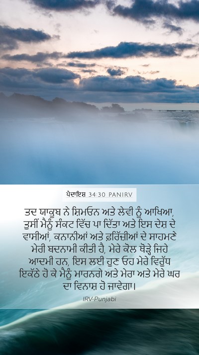 ਪੈਦਾਇਸ਼ 34:30 PANIRV Bible Verse Image