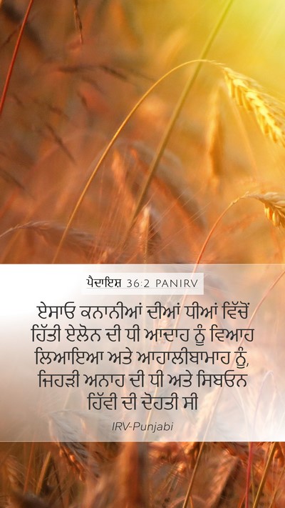 ਪੈਦਾਇਸ਼ 36:2 PANIRV Bible Verse Image