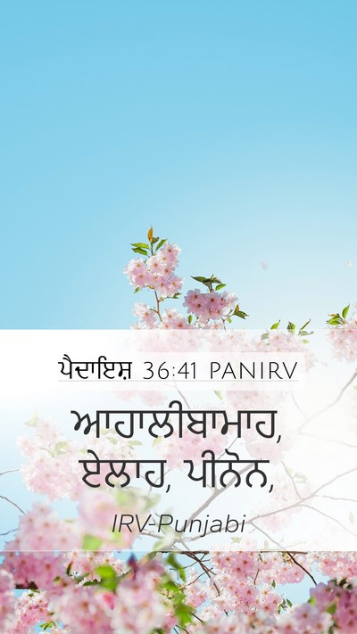 ਪੈਦਾਇਸ਼ 36:41 PANIRV Mobile Phone Wallpaper - ਆਹਾਲੀਬਾਮਾਹ, ਏਲਾਹ, - Mobile Bible Verse Wallpaper